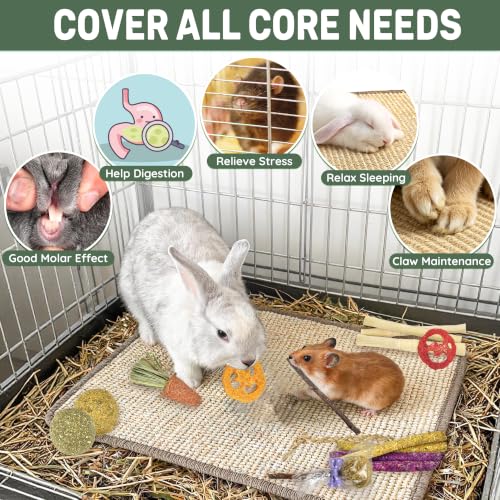 LECHONG Rabbit Toys, Natural Bunny Chew Toys with Sisal Scratch Nesting Mats Pads, Enrichment Toys for Bunnies Boredom, Suitable for Rabbits, Guinea Pigs, Chinchilla Hutch Cage Indoor Outdoor Use