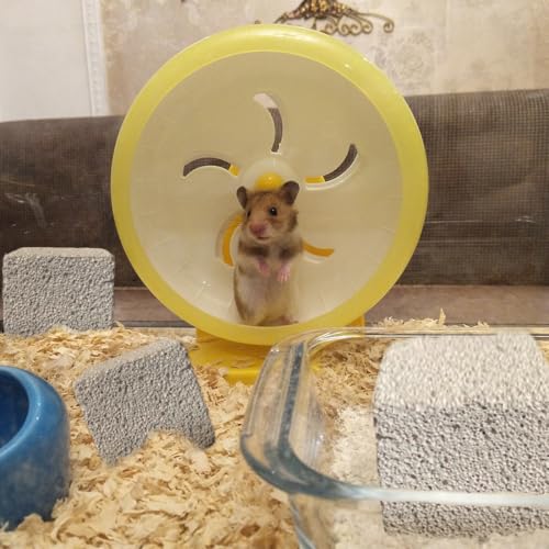 PINVNBY 9 Pcs Lava Blocks for Chinchillas,Hamster Chew Stones Square Mineral Calcium Bunny Teeth Pumice Grinding Chew Toys for Guinea Pig Rat Rodent - size: 【9 PCS】