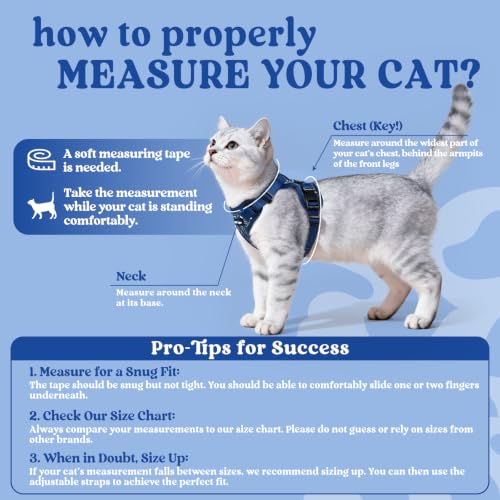 rabbitgoo Cat Harness and Leash Set, Escape Proof Vest, Cosmic Ace | Soft Breathable Mesh, Easy Adjustable Fit, Snap Buckles, Sturdy Clip, Reflective Strips, for Kittens & Small Cats Walks, Xxs - color: Cosmic Ace, size: Xxs