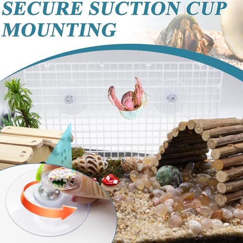 4 Pcs Hermit Crab Climbing Grids with Suction Cups Hermit Crab Climbing Toys Small Animal Cage Accessories for Hermit Crabs, Turtles, Lizards, and Tarantulas