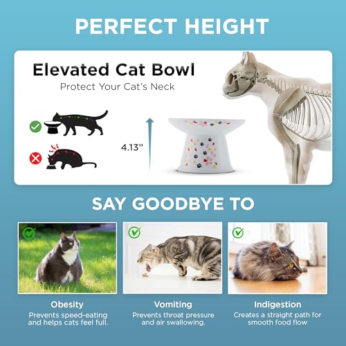 Necoichi Extra-Wide Raised Cat Food Bowl (Sakura, Extra Wide) - color: Sakura, size: Large Extra Wide
