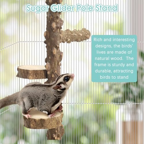 BNOSDM 4-Tier Chinchilla Climbing Toys, Chinchilla Ledges & Platforms with Side Perch, Natural Prickly Ash Wood Paw Grinding Stand for Cage, Ideal for Sugar Glider, Squirrel, Rat, Gerbil - color: Prickly Ash Wood - Climbing Platform