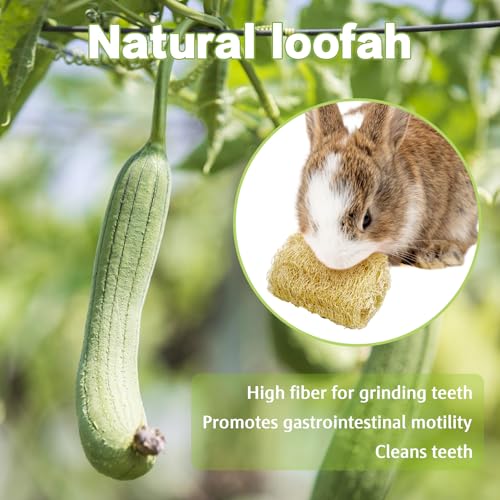 BNOSDM Bunny Chew Toys Natural Loofah 4PCS Bunny Teeth Grinding Toy Rabbit Fiber-Rich Treats Pet Entertainment Accessories for Rabbits Chinchillas Guinea Pig（XL） - color: XL-4PCS