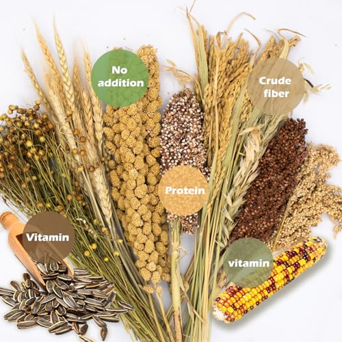 Natural Ear of Grain Flower&Herb Bedding Mate Habitat Decor, Adding Fun Hamster Accessories for Hamsters Gerbils Lemming - color: Miscellaneous grain crops