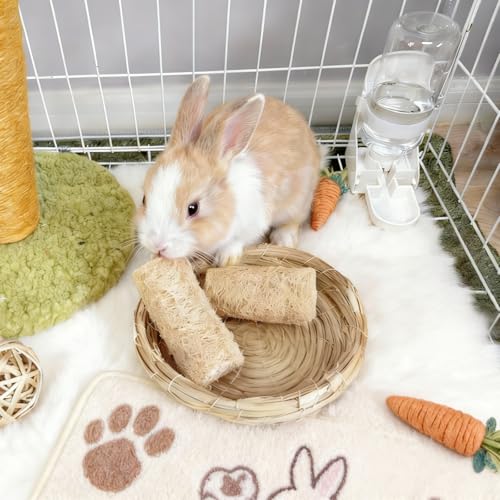 4Pcs Rabbit Chew Toys Loofah Guinea Pig Treats Bunny Enrichment Toys | Natural,with Rope,for Chinchillas Guinea Pig,Rabbit Toys for Bunnies Boredom,rabbit chew toys for teeth,bunny chew toys - size: 4PCS with a rope