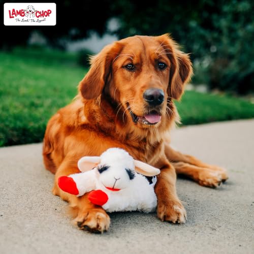 Multipet Lamb Chop Dog Plush Toy - Squeaky Toy for Small & Medium Dogs - Extra Soft Plush - Stuffed Animal for Cuddling & Playing (10", Cream, 5 Squeakers) - size: 10", style: Lambchop