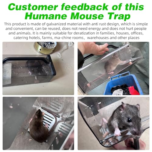 2026 Upgraded Live Mice Traps Humane Mouse Trap Indoor for Home Live Rat Trap for Outside Chipmunk Trap Outdoor Metal Mouse Trap Box Cage Easy to Catch&Release Live Chipmunk Animal Squirrel
