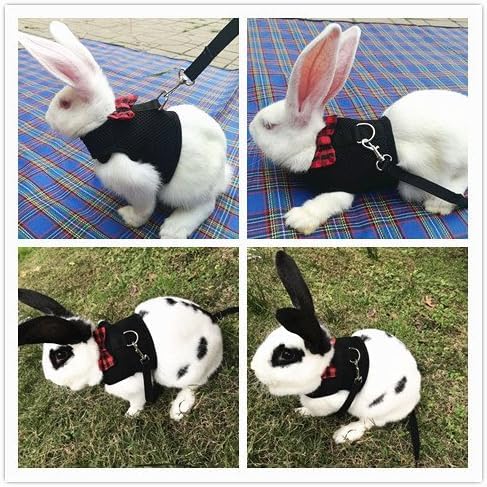 Hypeety Bunny Kitten Harness No Pull Cat Leash Stylish Vest Harness for Small Animal Adjustable Soft Breathable Walking Harness Set (Black, S) - color: Black, size: S