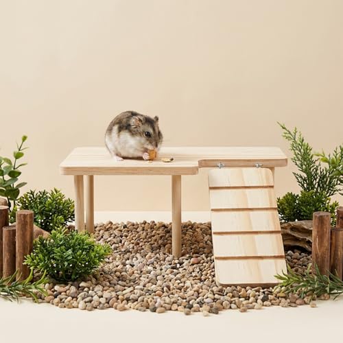 Hamster Play Wooden Platform with Ladder, 9.84x5.9x3.94in Hamster Cage Platform Small Animal Wood Stand Cage Accessories for Syrian Hamsters Mice Squirrel and Other Small Pets
