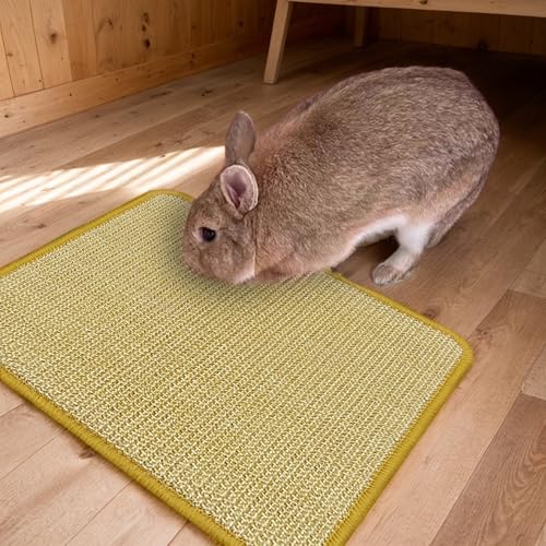 DYAUS Rabbit Scratching Pad, Sisal Bunny Scratch Pad, Natural Rabbit Foraging Mats for Cages, Indoor Bunny Toys Accessories for Bedding Biting Sleeping Resting (2PCS, 16x12in) - size: 2PCS