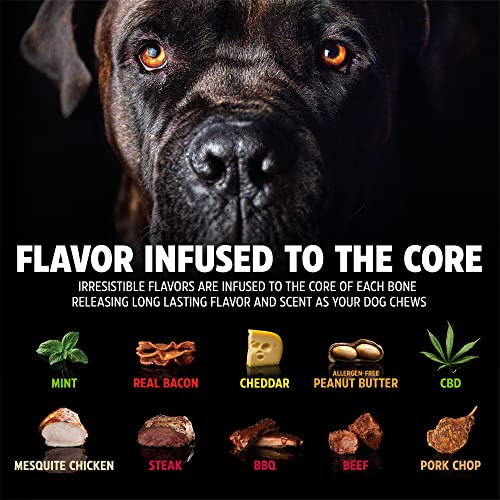 Pet Qwerks Dinosaur BarkBone - Nylon Dog Bone for Aggressive Chewers - Bacon Flavor - 9.75" - size: Large