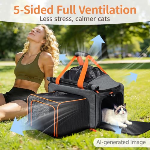 Soft Sided Cat Pet Dog Carrier, Large Airline Approved Travel Bag | Top Loading Breathable Mesh, Foldable Expandable Design, Fits Kittens & Puppies Up to 15 Lbs, Comfy for Transport Scenarios