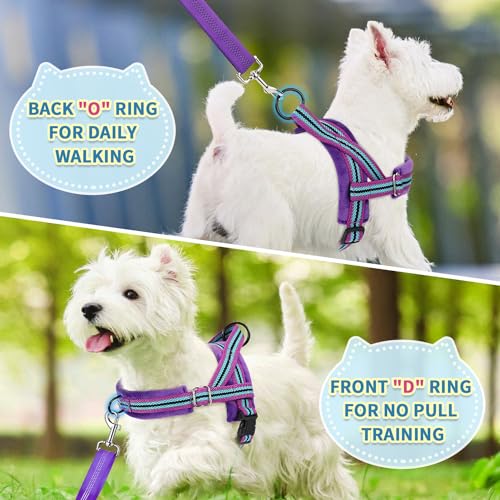SlowTon No Pull Small Dog Harness and Leash Set with Front Clip | Soft Padded, Neck & Chest Adjustable, Lightweight, Anti-Twist, Puppy Vest Harness Pet Lead Combo for Small Medium Dog, PU S - color: Purple, size: Small