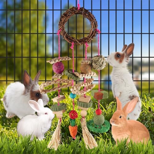 YIXUND Rabbit & Guinea Pig Toys - Hamster & Bunny Toys - Natural Timothy Hay & Apple Wood Sticks - Chinchilla Teeth Care - Handmade Dream Catcher - color: 18 Pcs