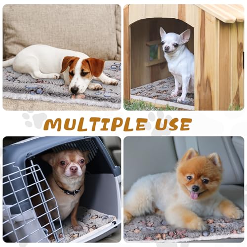 4 Pack Ultra Soft Dog Cat Bed Mat Small Animal Guinea Pig Bed with Cute Print Reversible Fleece Dog Crate Kennel Pad Cozy Washable Thickened Hamster Pet Beds Mat(21 x14 Inches,Light Gray) - color: Light Gray, size: 21 x 14 Inches