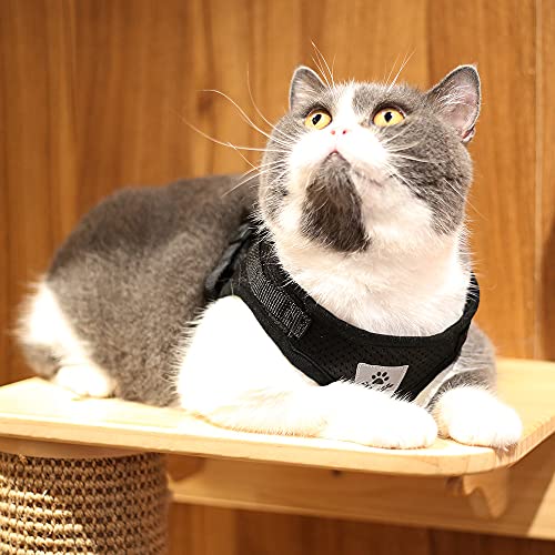 Comfort Step-in Cat Dog Harness and Leash Set for Puppies Cats Kitty Escape Proof Pet Vest Harnesses for Small Animals Rabbit/Mouse/Cats (L:5-7KG, Black) - color: Black, size: L:5-7KG