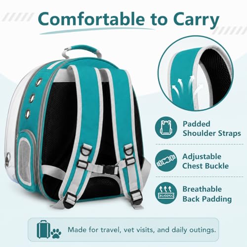Expandable Cat Carrier Backpack with Bubble Window, Green | Breathable mesh, anti-collapse frame, side door, safety leash and escape-resistant zippers for vet visits and outdoor travel. - color: Green