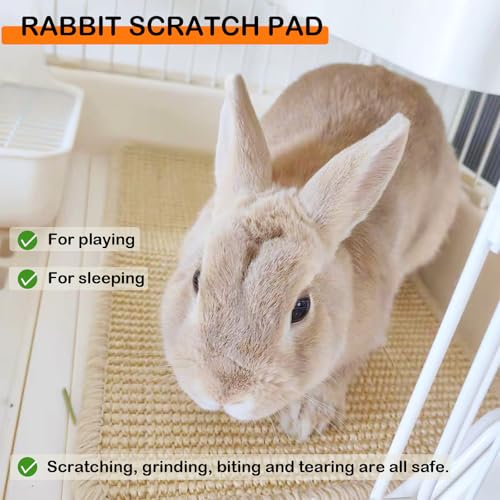 Rabbit Scratching Pad Natural Sisal Bunny Scratch Pad 16 x 12 Inch, Claws and Teeth Care Rabbit Scratcher Mats Chew Toys Indoor Bunny Accessories for Bedding Biting Sleeping Resting(1 Pack) - color: Beige-1, size: 15.7" x 11.8" (1 Pack)