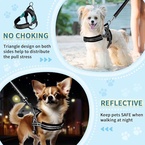 SlowTon No Pull Small Dog Harness and Leash Set with Front Clip | Soft Padded, Neck & Chest Adjustable, Lightweight, Anti-Twist, Puppy Vest Harness Pet Lead Combo for Small Medium Dog, B XXS - color: Black, size: XX-Small