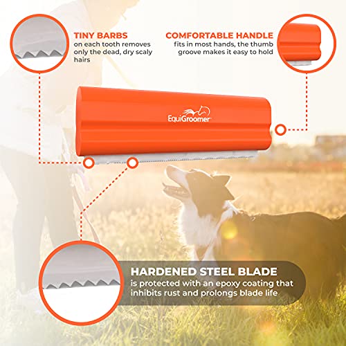 EquiGroomer 5-Inch Undercoat Deshedding Brush for Dogs & Cats, Orange | Best for dogs up to 100 lbs and cats of any size, short or long hair, stainless blade, no cutting or pulling - color: Orange, size: 5 Inch