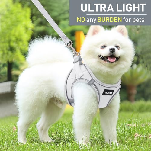 GAMUDA Small Pet Harness Collar and Leash Set, Step in No Chock No Pull Linen Fabric Soft Mesh Dog Vest Harnesses Reflective for Dogs Puppy Cats Kitten Rabbit (White, XXS) - color: White, size: XXS