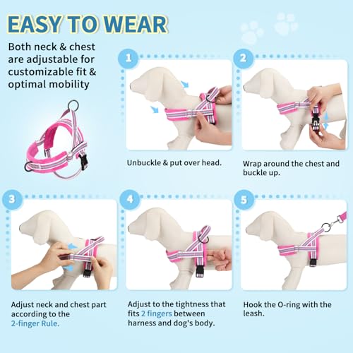 Lukovee Small Dog Harness and Leash Set, No Pull Soft Padded Vest | Both Neck & Chest Adjustable, Reflective, Puppy Harness with 4ft Lightweight Anti-Twist Dog Leash for Small Dogs (Fu,XXS) - color: Fuchsia - with Stripe, size: XXS ( Chest 11.5'' ~ 15'')