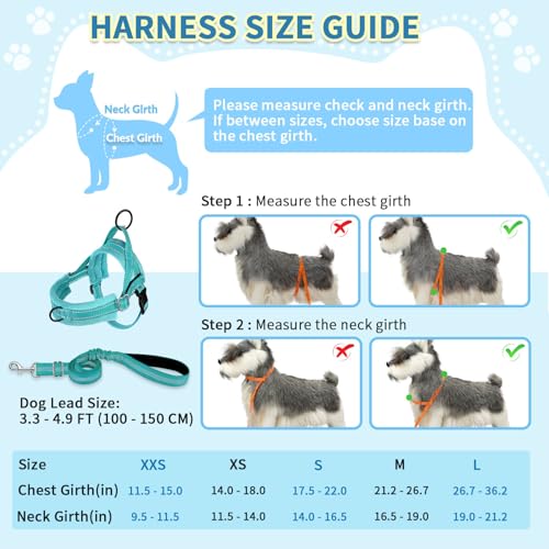 SlowTon No Pull Small Dog Harness and Leash Set with Front Clip | Soft Padded, Neck & Chest Adjustable, Lightweight, Anti-Twist, Puppy Vest Harness Pet Lead Combo for Small Medium Dog, TL S - color: Teal, size: Small