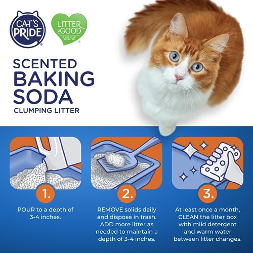 Cat's Pride Baking Soda Lightweight Scented Clumping Liter 10lb
