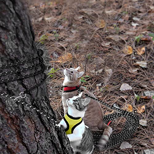 Reflective Cat Long Leash 50 FT, Outdoor Backyard Cat Tie Out Lead, Black | Backyard Play, Reflective Nylon Rope, Dual 360° Swivel Hooks, Lightweight Cat Tie Out,Black L, Small Pets - color: Black, size: 50 FT