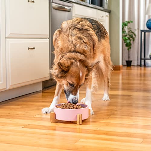 NAT & Jules Large Pink 8 inch Stoneware Ceramic and Wood Pet Bowl with Stand - color: Pink