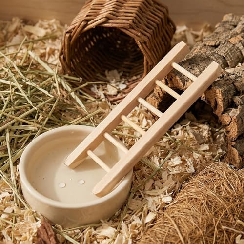 2pcs Mini Wooden Ladder Pet Toy Bridge Climbing Toy Dollhouse Furniture - Ideal for Dollhouses, Miniature Decor & Small Pets Animals Like Hamsters