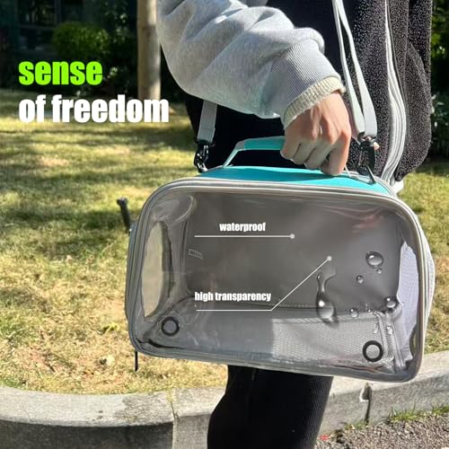WEVONIGU Scratch-Resistant Bearded Dragon Backpack Foldable Gecko Carrier Ventilation Travel Bag with Clear View Window Dual Carry Cage Options for Travel Hiking & Vet Visits - color: Green, size: 8.0"L x 7.0"W x 5.0"H