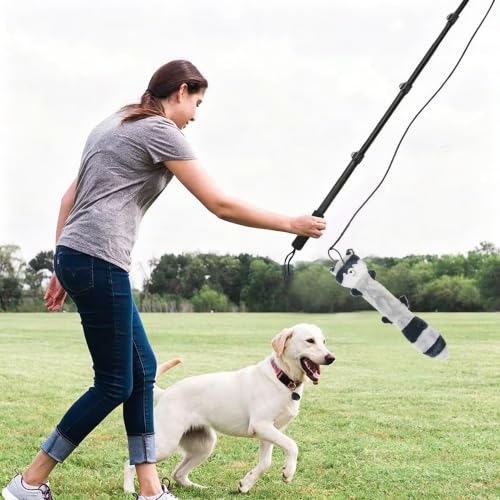 Flirt Pole for Dogs, Interactive Toys Tug-of-war for Dogs, Five-Section Retractable Adjustable Length, Chase Toys with Rope Chewing Sticks, for Outdoor Exercise & Training - size: 59Inch Pole-Black
