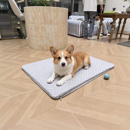2-in-1 Cooling Mat for Corgis French Bulldogs & Cats, 16"x26", M | 2 SAP Gel Inserts + Q-Max>0.4 Ice-Silk, Waterproof, Machine Washable, Crate Indoor Outdoor - size: Medium 16"x26"