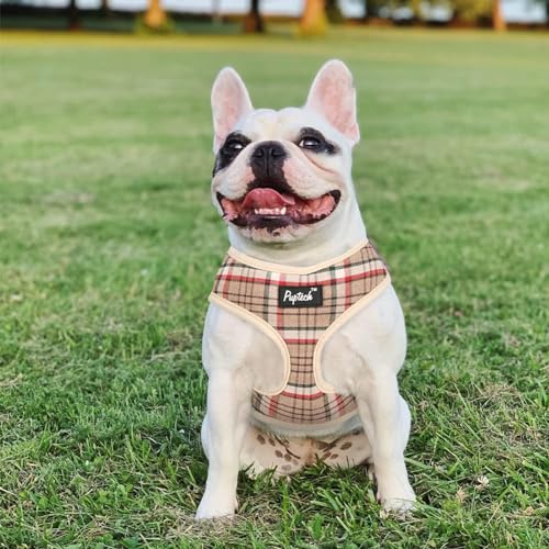 PUPTECK Soft Mesh Dog Harness and Leash Set Pet Puppy Cat Comfort Padded Vest No Pull Harnesses, Khaki, S - color: Khaki, size: S (NECK: 12", CHEST: 14"-18")