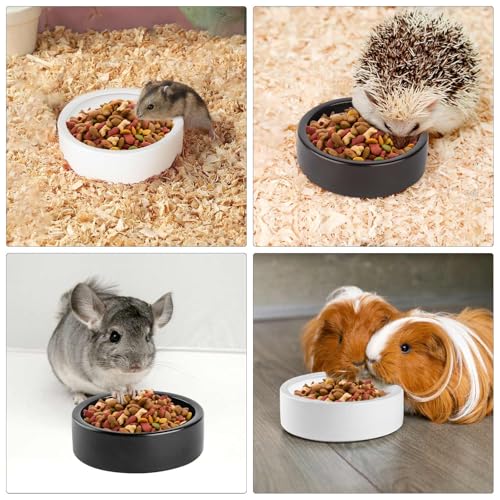 2 Pack Ceramic Bowls for Syrian Hamster & Hedgehog, 3.9" Diameter, Shallow Chew-Proof Dish, Non-Slip Base, Easy to Clean (White + Black)