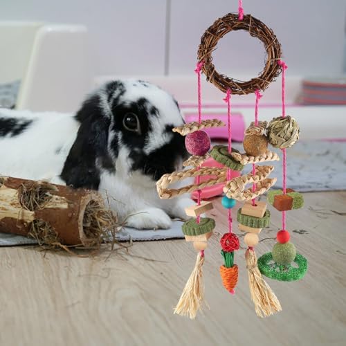 YIXUND Rabbit & Guinea Pig Toys - Hamster & Bunny Toys - Natural Timothy Hay & Apple Wood Sticks - Chinchilla Teeth Care - Handmade Dream Catcher - color: 18 Pcs