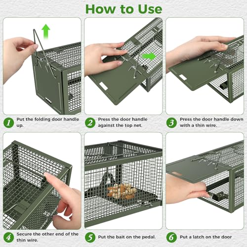 2 PCS Humane Mouse Mice Rat Traps Live Chipmunk Squirrel Animal Cage | Green Iron Galvanization, Reusable Safe for Children & Pet - color: Green