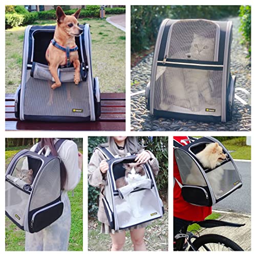Texsens Innovative Traveler Bubble Backpack Pet Carriers for Cats and Dogs (Black) - color: Black