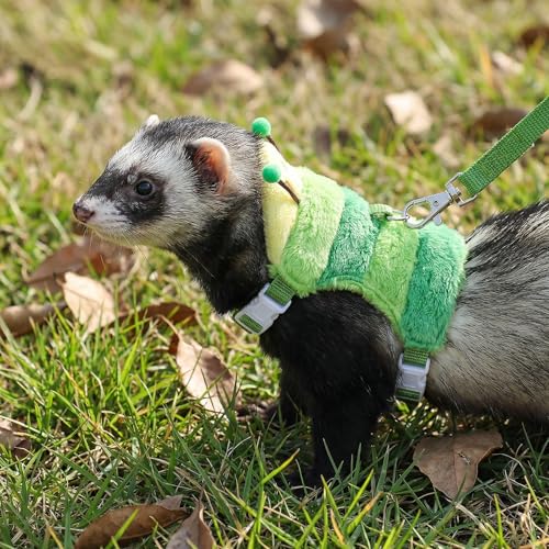 Ferret Harness and Leash Set Small Animals Vest Harness | with Safe Bell, Walking Clothes, for Baby Rabbit, Guinea Pig, Teacup Chihuahua, Mouse, and Other Small Pets