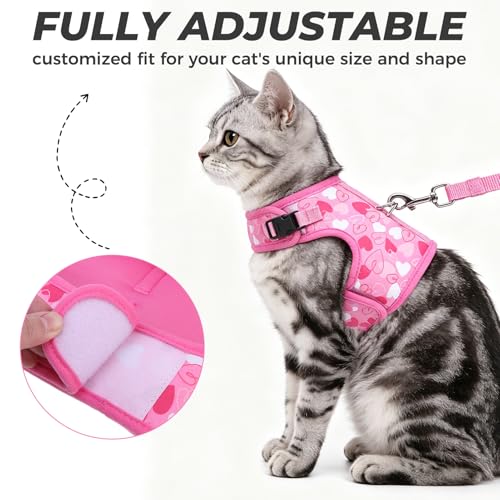 BINGPET Cat Harness and Leash Set, Escape Proof and Adjustable, Large | Step-in Vest, Lightweight Soft Breathable Mesh, Hook & Loop, Easy Control for Medium & Large Cats Walking Travel - color: Heart, size: Large