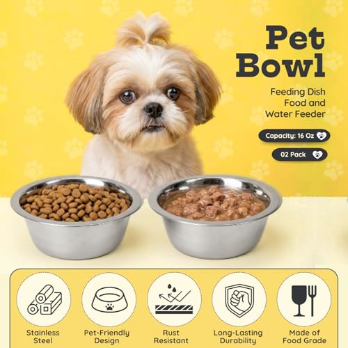 2 Pack Shallow Stainless Steel Cat & Dog Bowls, 2 Cup (16oz) Each, Heavy Duty Small Pet Only Puppy Kitten & Birds Feeder Replacement Bowl, Rust Resistant Metal Cat Dishes for Food & Water - size: 2 Cup (16oz)