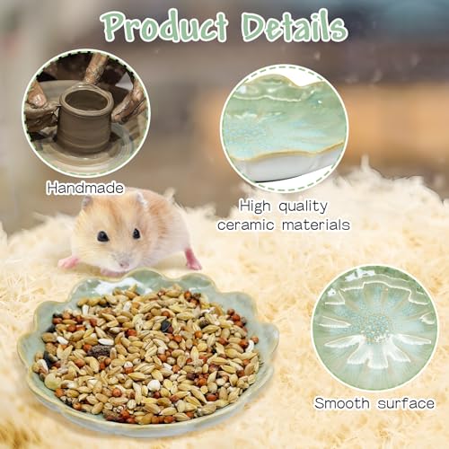 BNOSDM Shallow Ceramic Hamster Food Dish 2 Pcs Small Animals Food Bowl Sunflower Feeding Dishes for Gerbils Mice Rats 4.5in (Green) - color: Green Sunflower