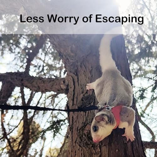3 Pack Sugar Glider Harness and Leash Set Small Animal Training Walking Vest for Squirrel Hamster Rat-Black - color: Black