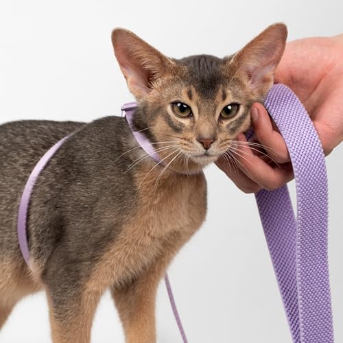 Cat Harness and Leash 2-in-1, Escape Proof Anti-Choking Harness Adjustable Lightweight Leash One-Piece Non-Detachable for Kittens Cats Outoor Walking Training, US IDA Bronze Award (Linen) - color: Linen