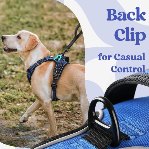 rabbitgoo Dog Harness Medium Sized, Updated Easy On & Off with 3 Buckles | No Pull No Choke, Walking with 2 Clips and Handle, Adjustable Soft Reflective, Blue, Medium - color: Blue, size: Medium