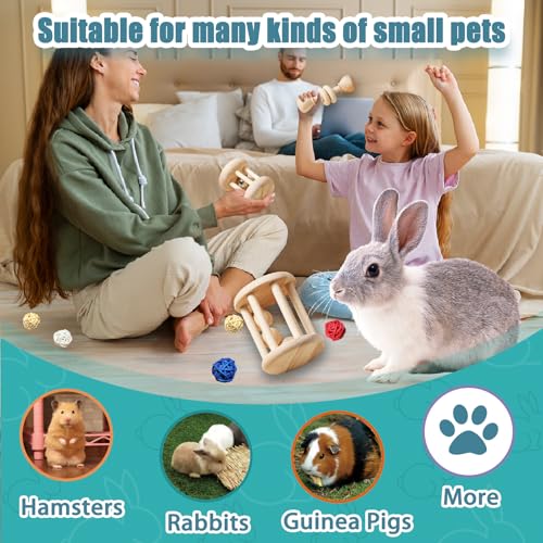 QWR 23 PCS Natural Wooden Rabbit Toys,Safe Bunny Chew Toys for Teeth,Grass Timothy Sticks,Sweet Bamboo,Guinea Pigs Teeth Grinding Toys for Chinchillas, Hamsters & Small Animals - Indoor & Outdoor - size: 23PCS