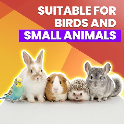 VIOLETTO 120 Sheets Pre-Cut Bird Cage Liners - Unprinted Plain Newsprint Paper, 20" x 18" - Highly Absorbent & Ink-Free Pet Habitat Liners for Parrots, Rabbits & Guinea Pigs | Pre-cut, Unprinted Plain Newsprint Paper, Highly Absorbent & Ink-Free, For Parr
