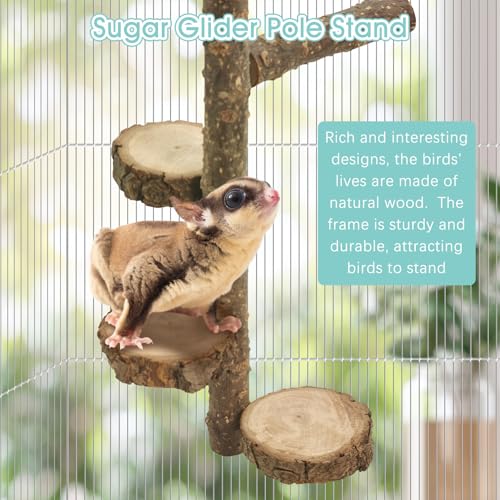 BNOSDM Sugar Glider Toy Natural Fruitwood Round Perch Stand Squirrel Hanging Wooden Climbing Pole Hamster Paw Grinding Perch Small Animal Cage Accessories for Chinchillas Rats Gerbil - color: Applewood - Climbing Platform