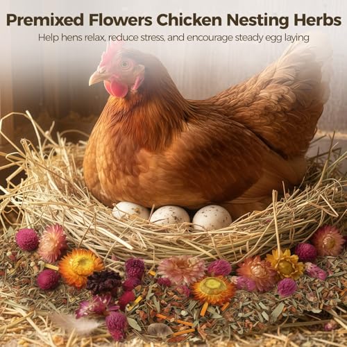 20 oz Chicken Nesting Herbs, 3 Pack Natural Dried Flower Blend for Chicken Coop Bedding, Nest Box Herbs for Egg Laying, Freshening Coop Odor, Hamster Guinea Pig Bunny